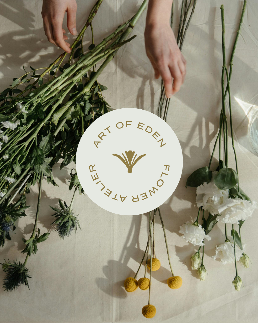 Fleur de Haas logo icon